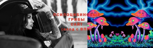ГАЛЛЮЦИНОГЕННЫЕ ГРИБЫ Алзамай