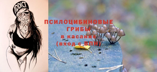 ГАЛЛЮЦИНОГЕННЫЕ ГРИБЫ Алзамай