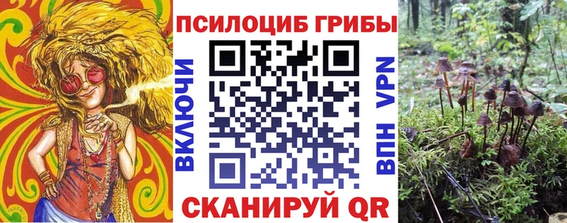 Купить закладки Реж Галлюциногенные грибы MAGIC MUSHROOMS